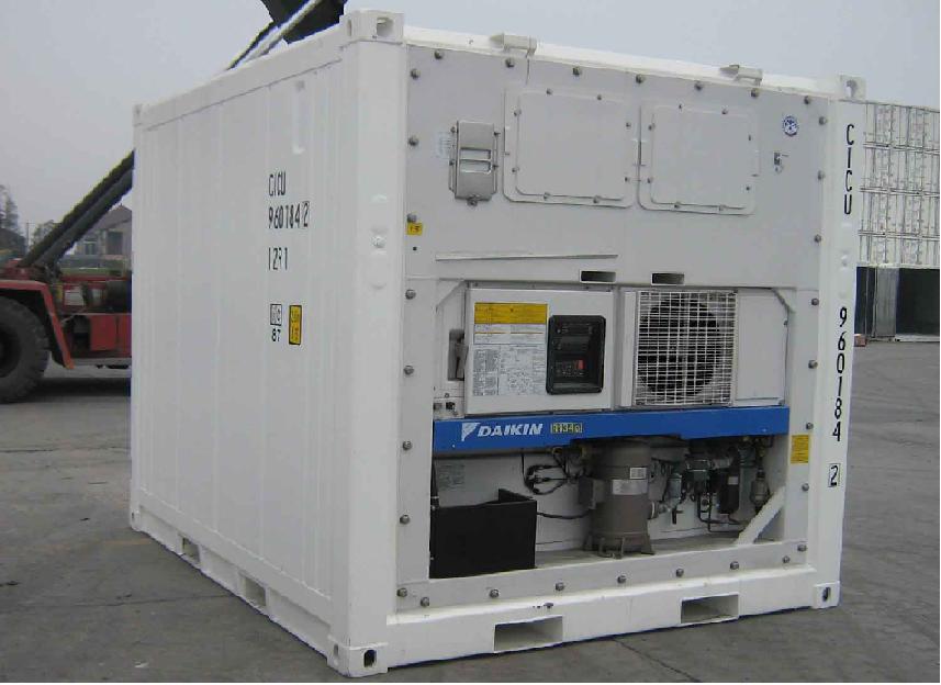 container 20 feet lạnh